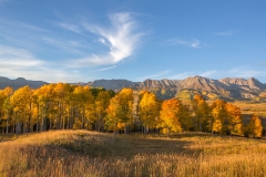 CampbellView