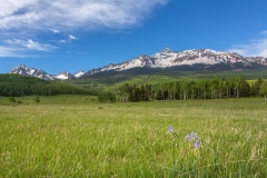 IrisWilsonRange