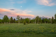 LandMoon